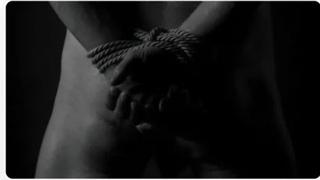 Sex med flera stycken.